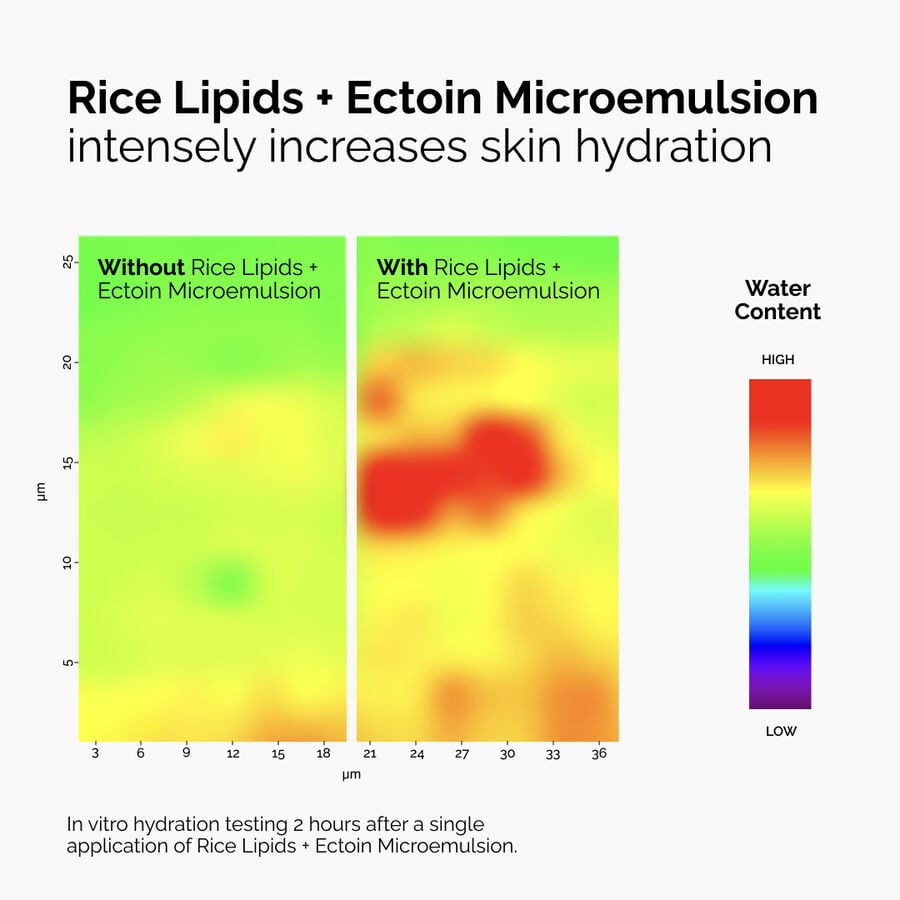 Rice Lipids + Ectoin Microemulsion